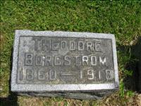 Borgstrom, Theodore